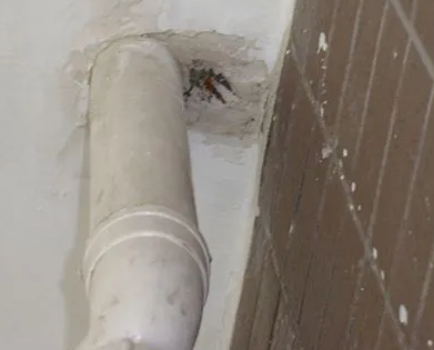 宁波市漏水检测哪家好